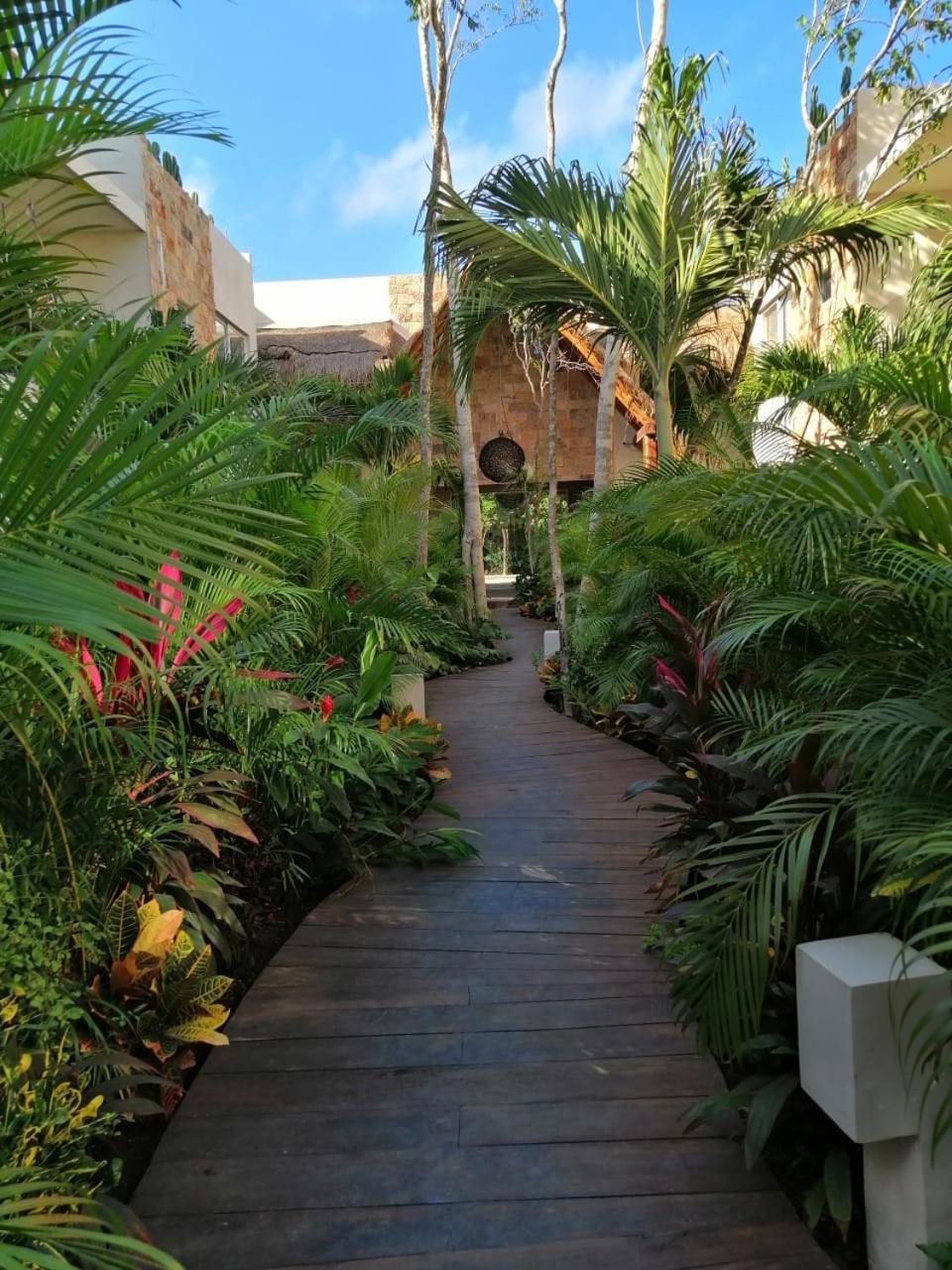 Alma De Flores Private Pools Suites トゥルム エクステリア 写真